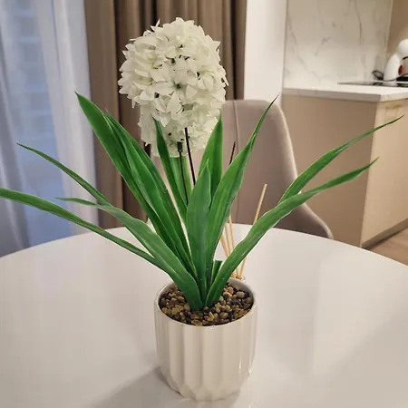 Seaside Mamaia Nord La Mare *